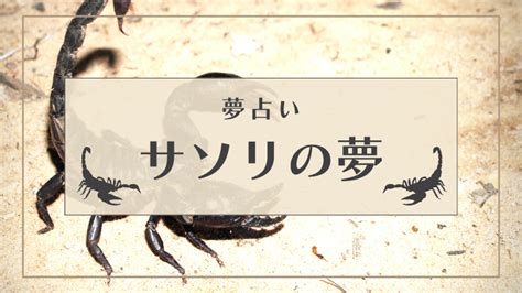 夢占い さそり|【夢占い】サソリの夢32選！赤い・白い・黒い・追い払う・襲わ。